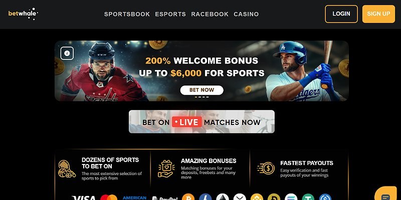 BetWhale online casino — bonuses and games