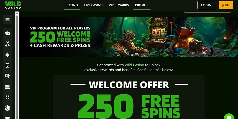 Wild Casino online casino — bonuses and games