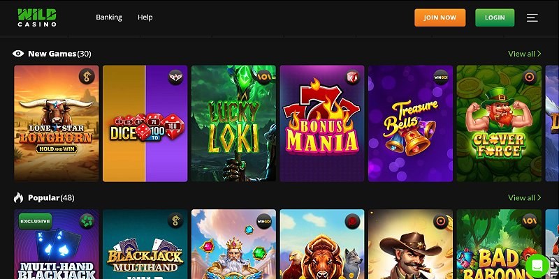 Screenshot of the Wild Casino online casino site